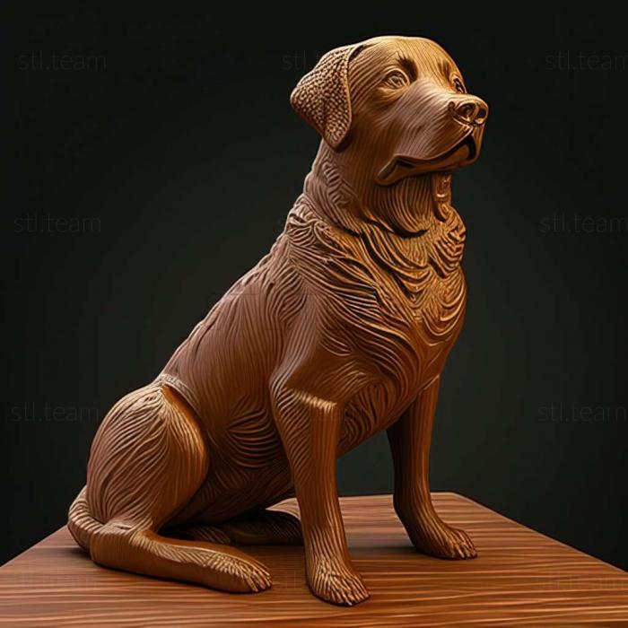 3D model Chesapeake Bay Retriever dog (STL)